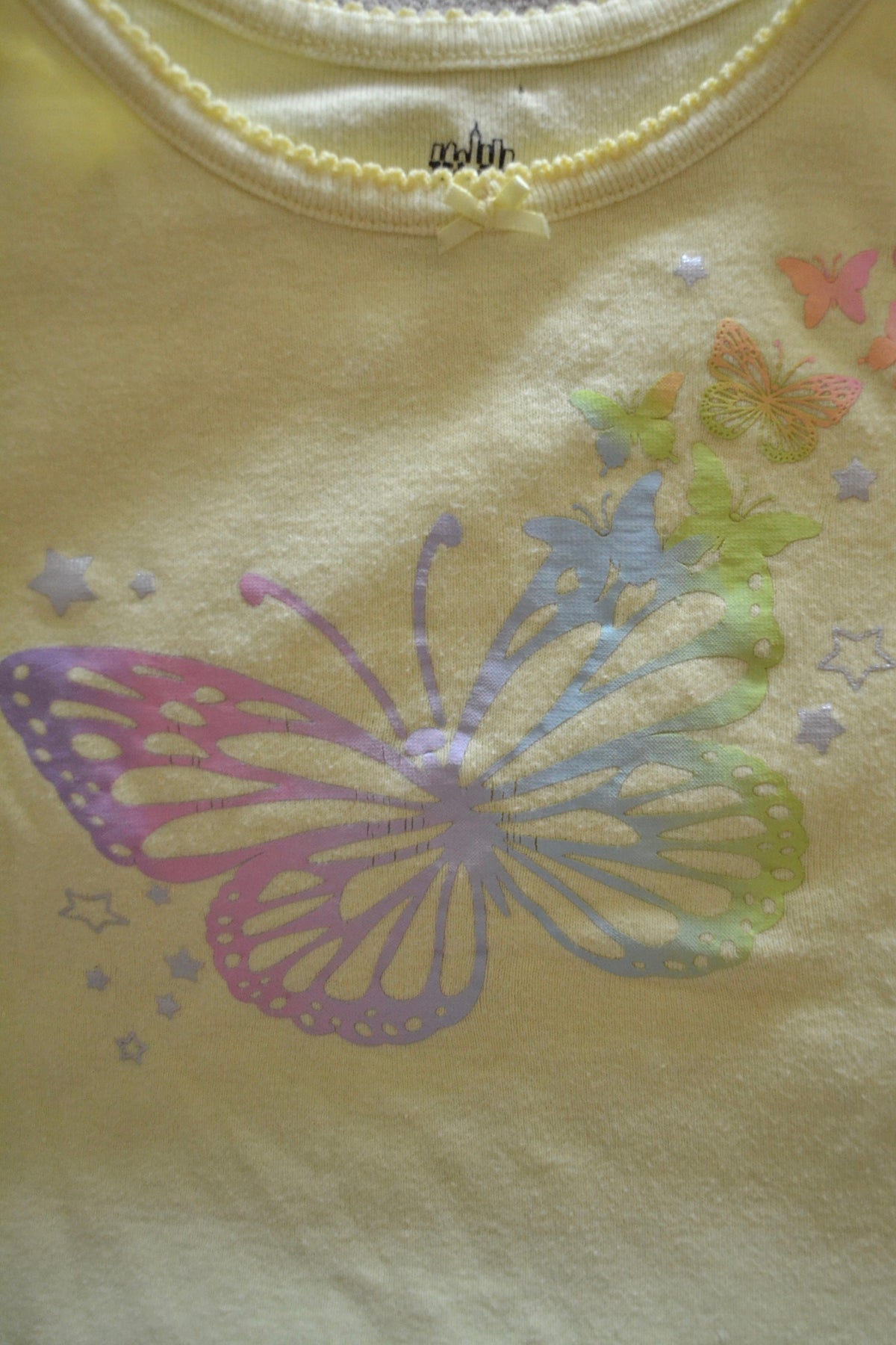 Butterfly Graphic Tee (2T)